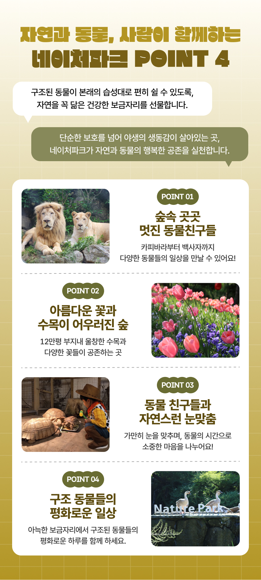 상세페이지 이미지