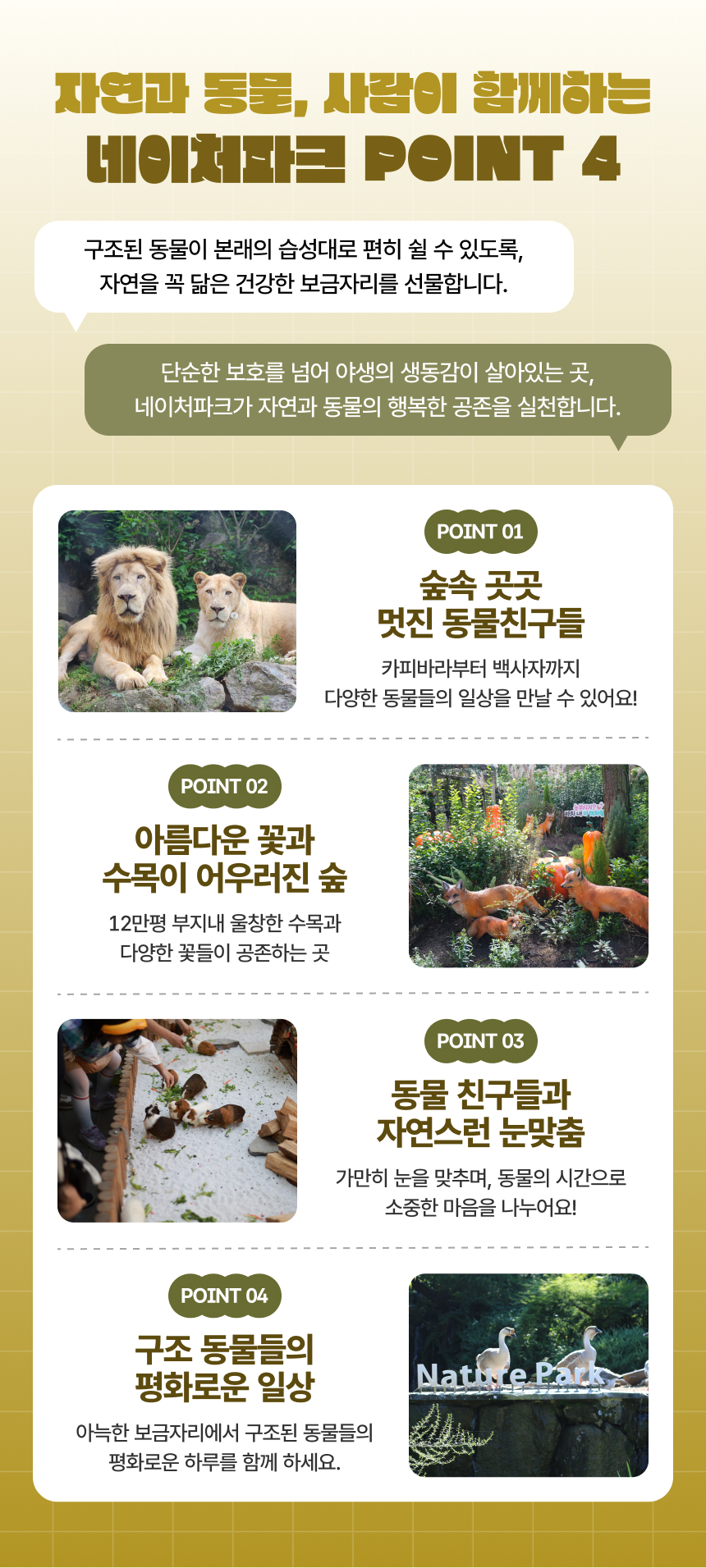 상세페이지 이미지
