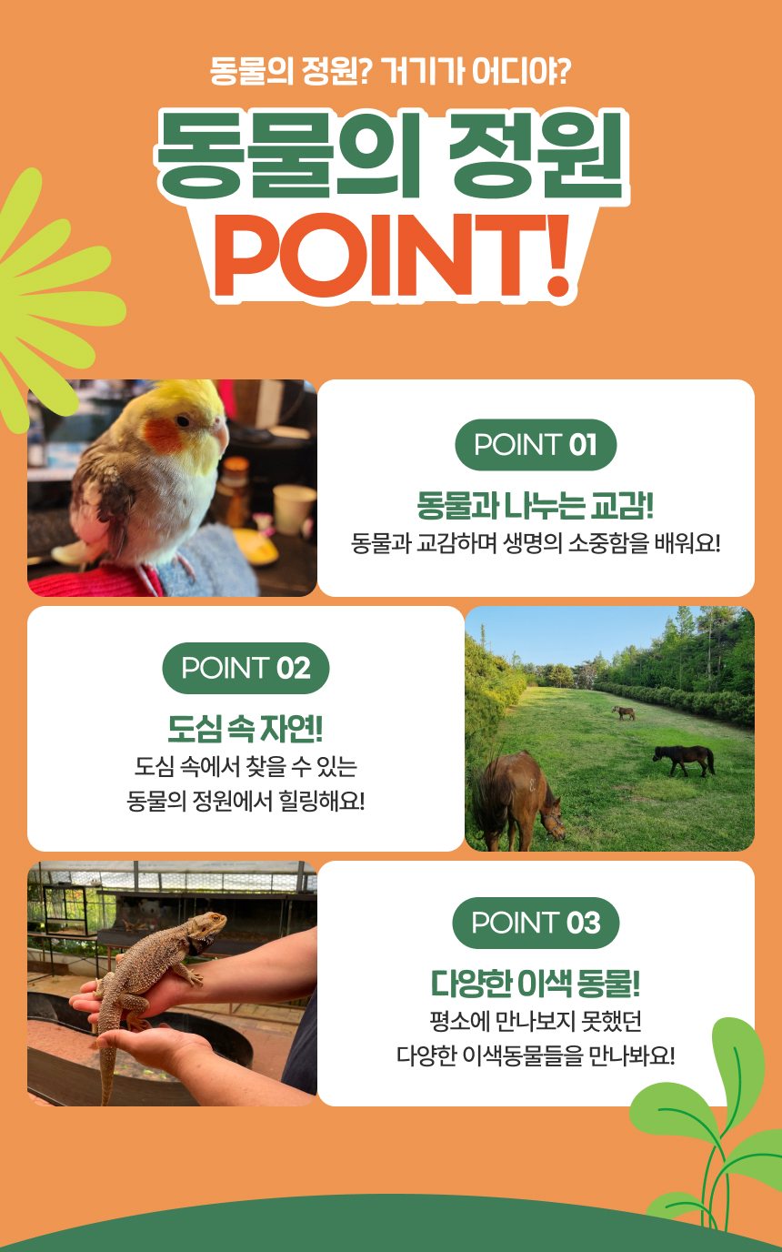상세페이지 이미지