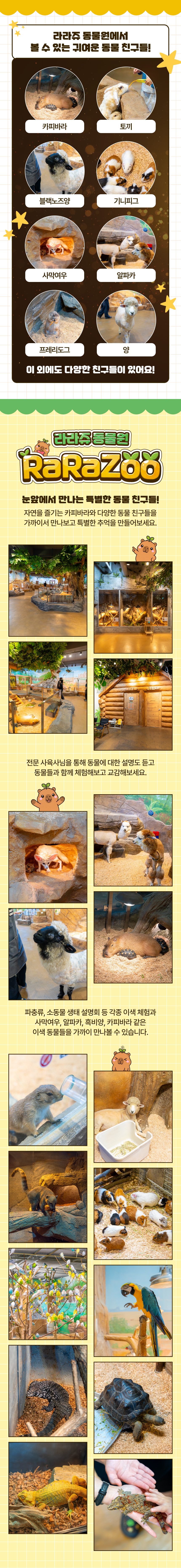 상세페이지 이미지