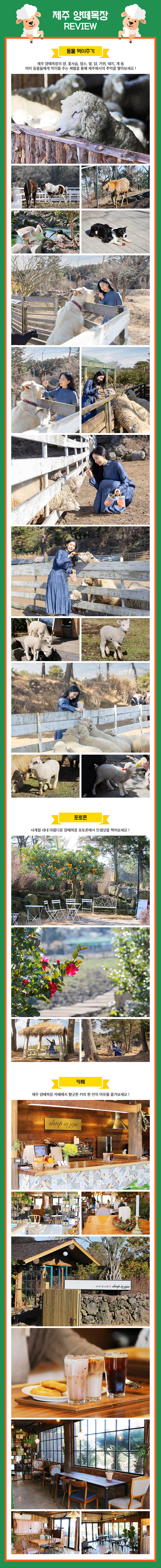 상세페이지 이미지
