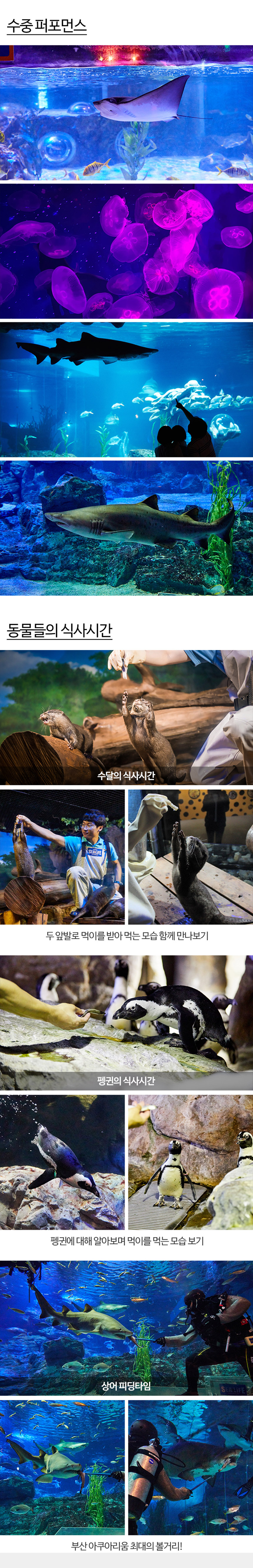 상세페이지 이미지