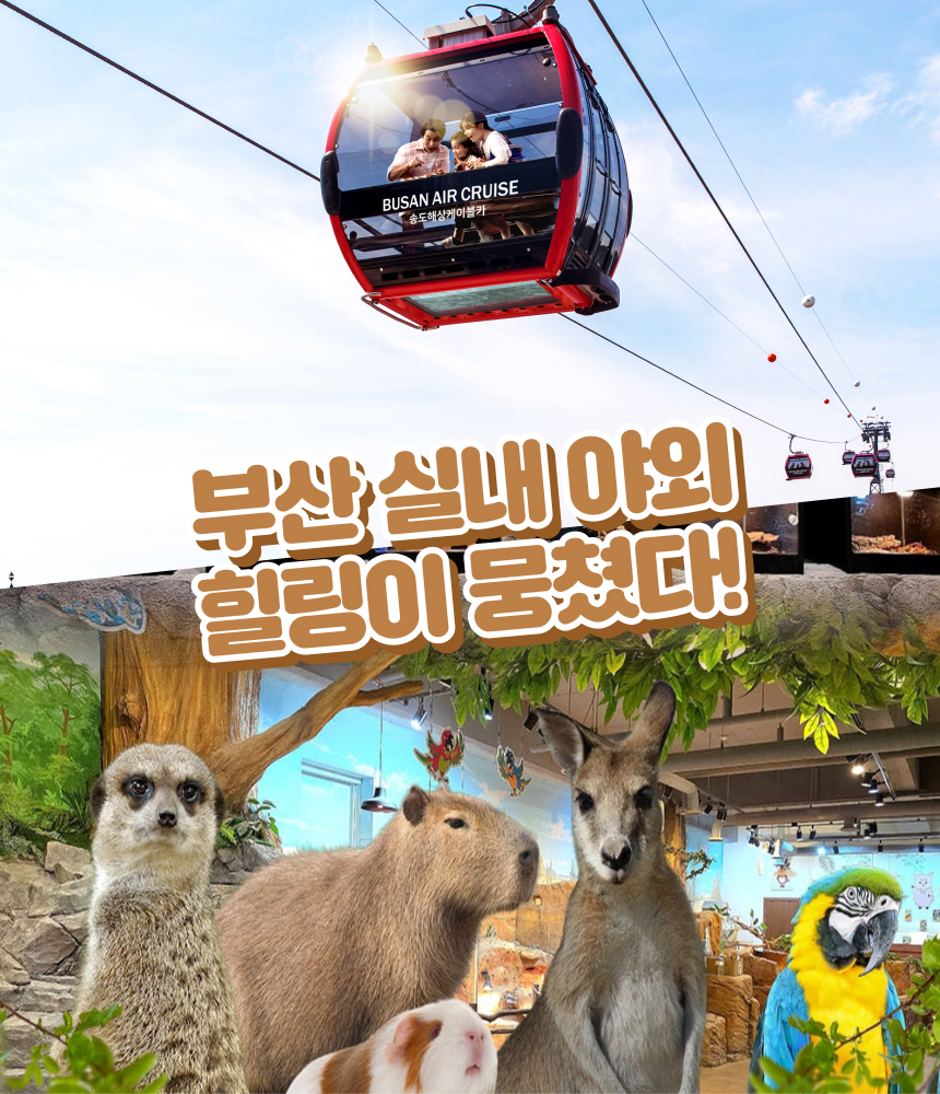 상세페이지 이미지