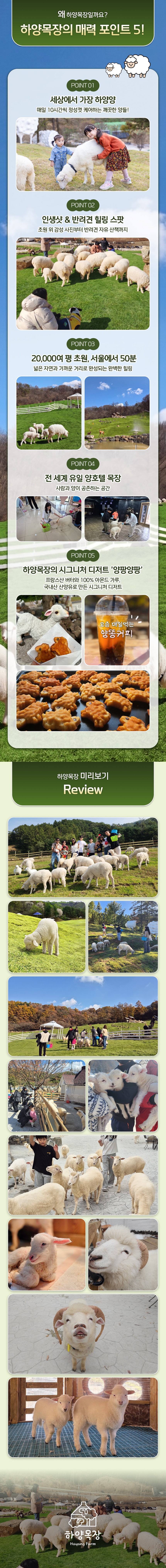상세페이지 이미지