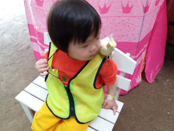 상세페이지 이미지