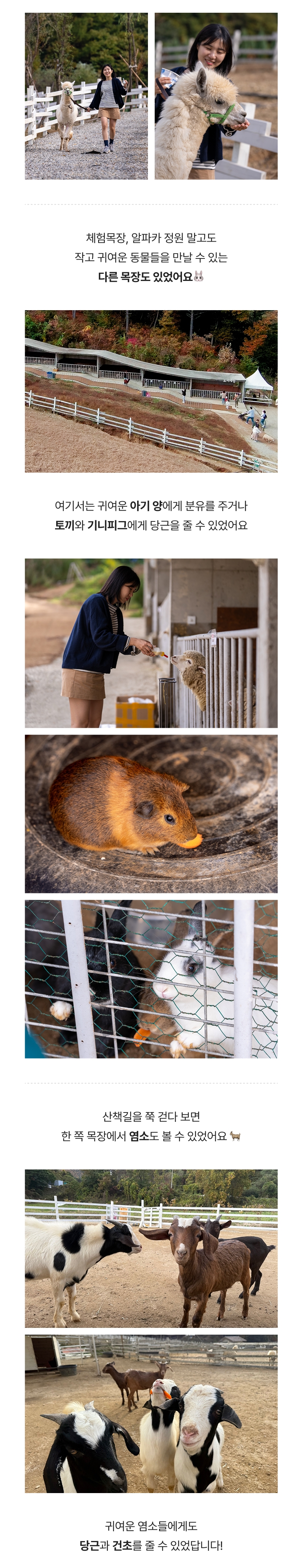 상세페이지 이미지
