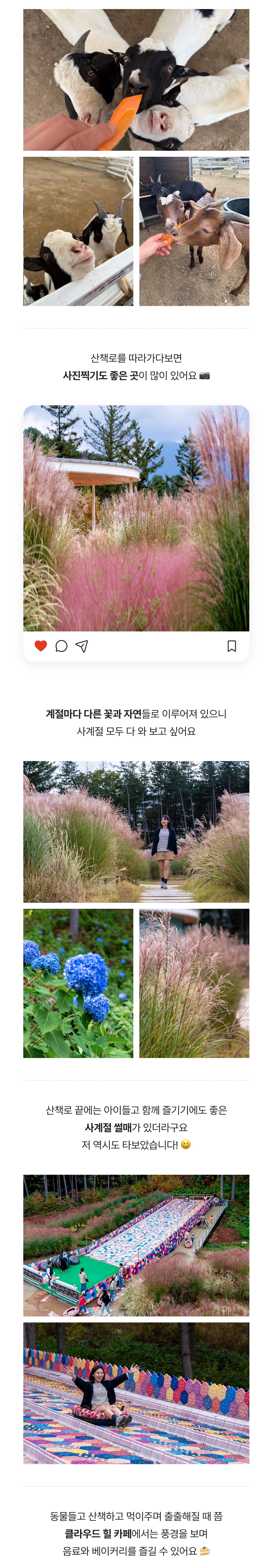 상세페이지 이미지