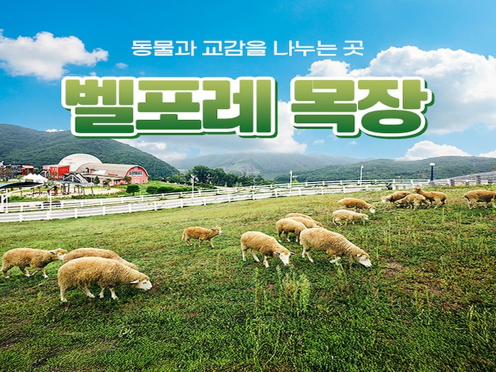 상세페이지 이미지