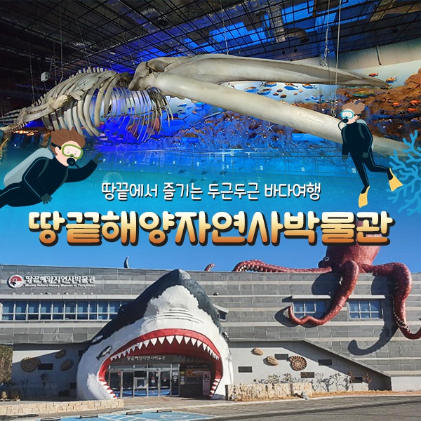 상세페이지 이미지