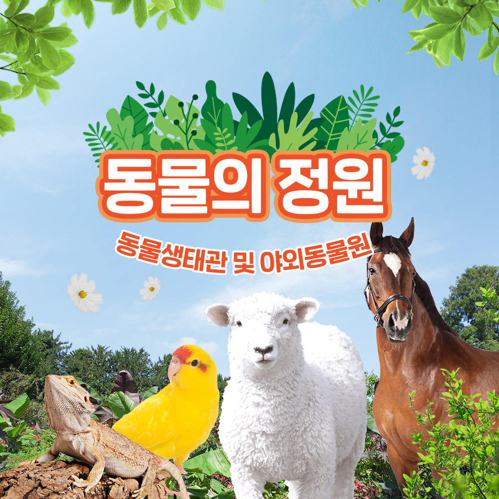 상세페이지 이미지