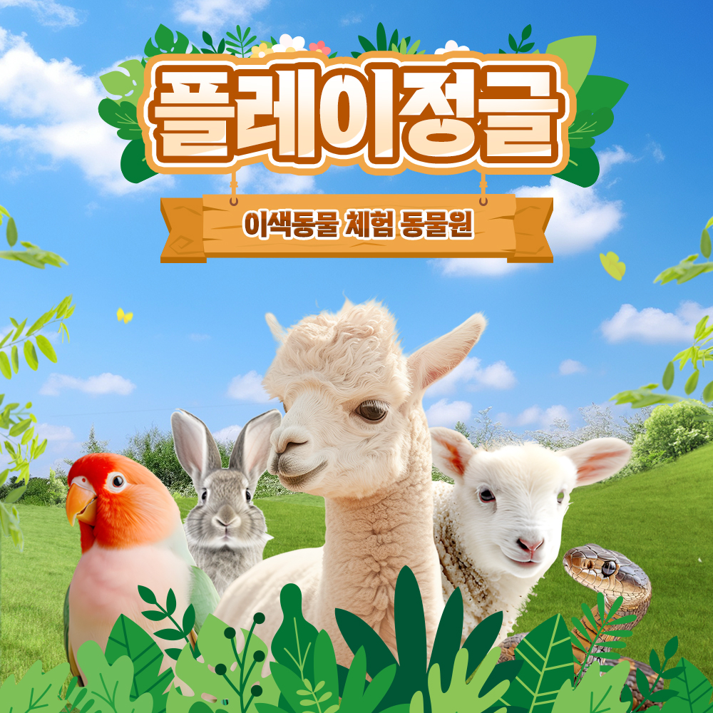 상세페이지 이미지