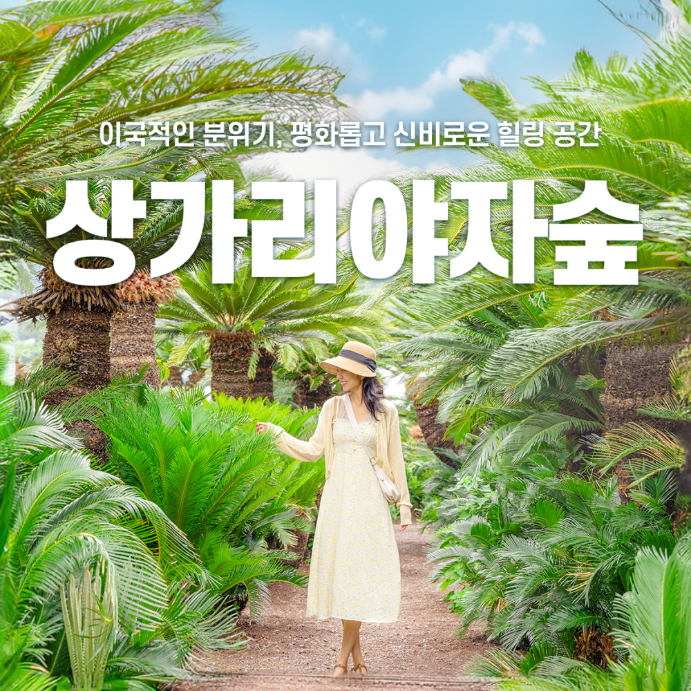 상세페이지 이미지