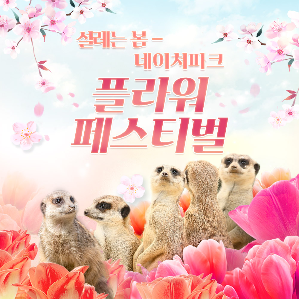 [대구] 네이처파크 설레는 봄 이용권
