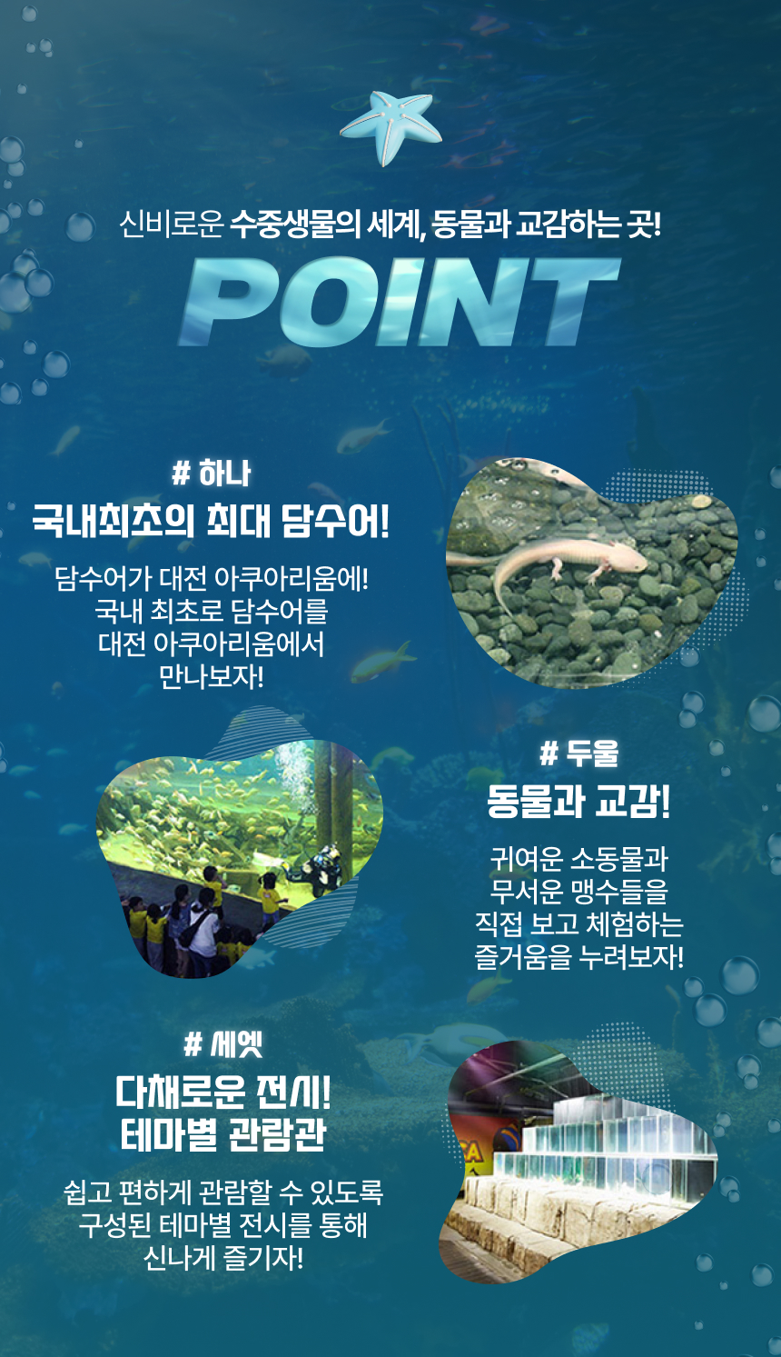 상세페이지 이미지