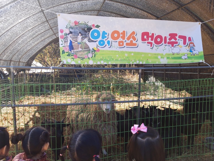 상세페이지 이미지