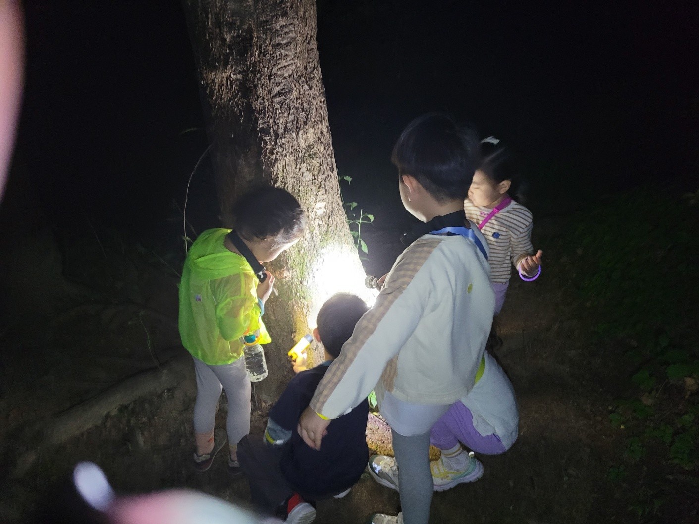 상세페이지 이미지