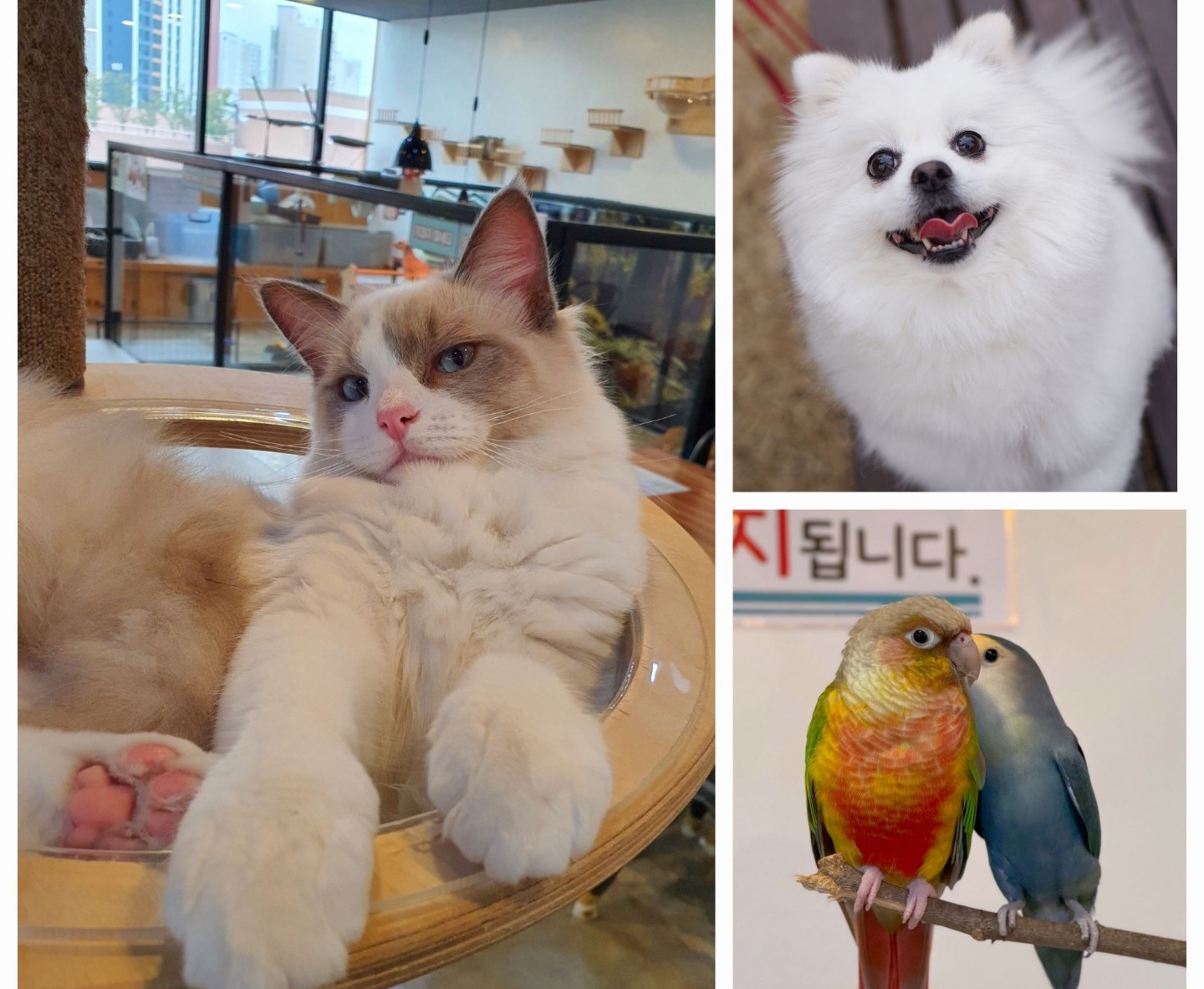상세페이지 이미지