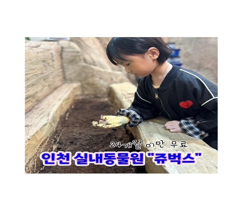 상세페이지 이미지