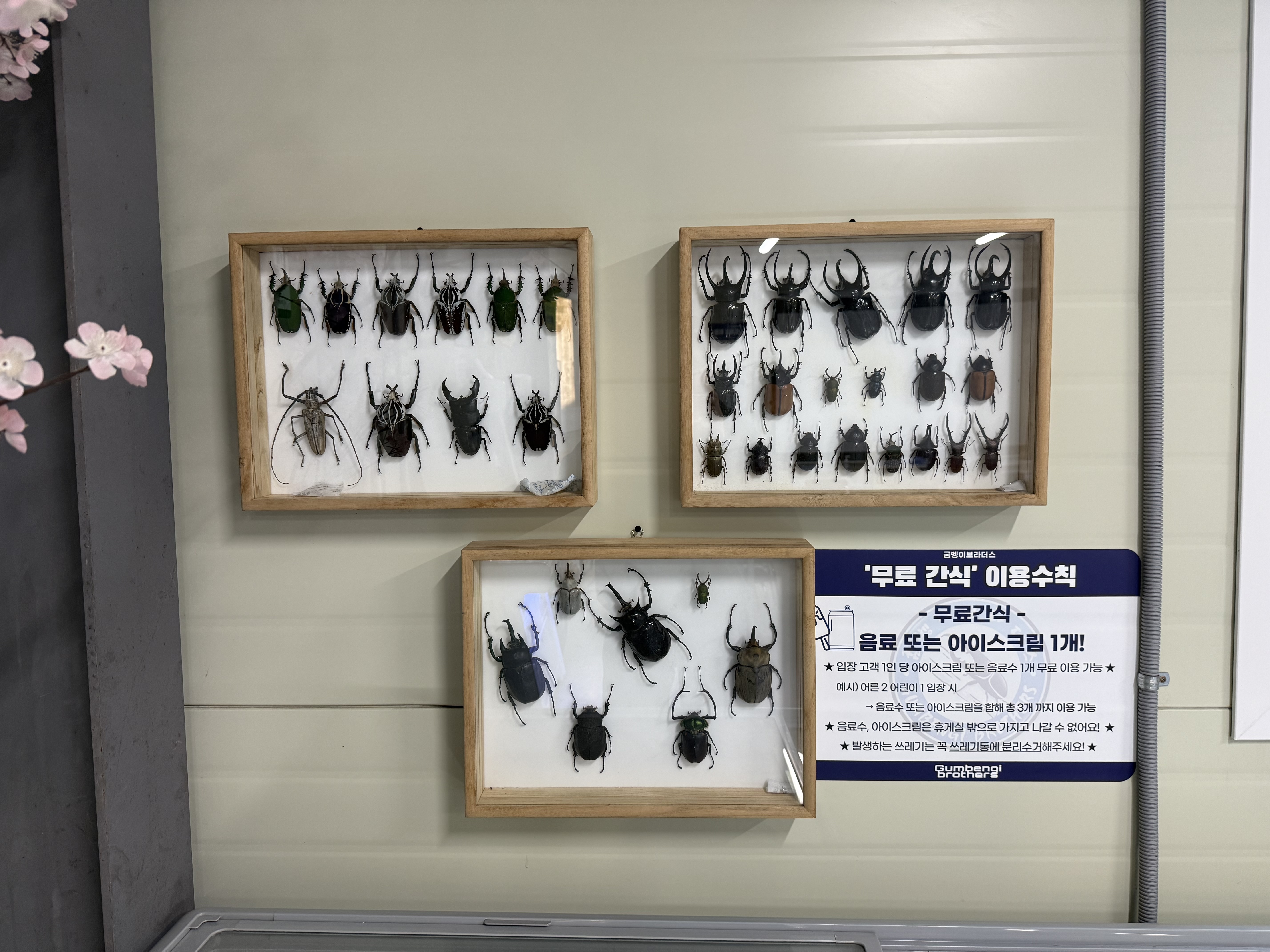 상세페이지 이미지