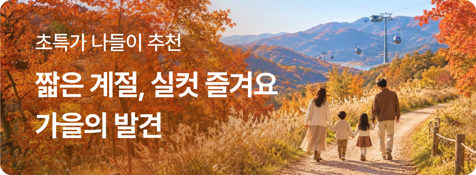 가을의발견