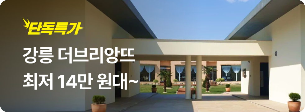번쩍특가 | 강릉더브리앙뜨