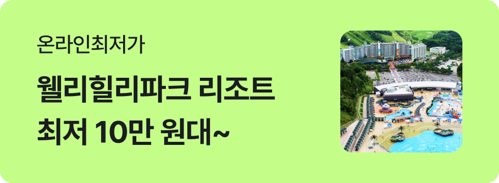 번쩍특가 | 웰리힐리