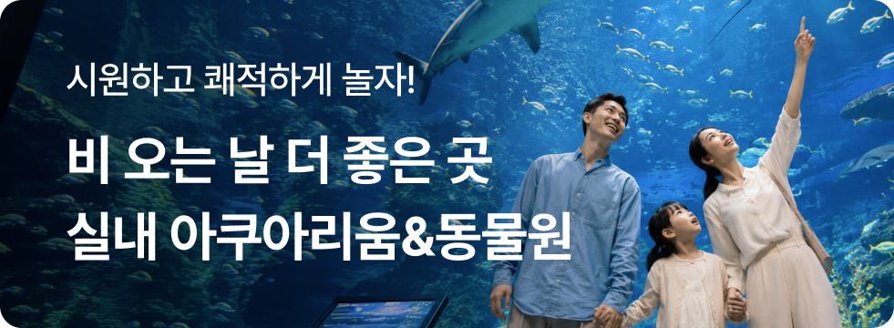 비 오는 날 더 좋은 곳 실내 아쿠아리움&동물원