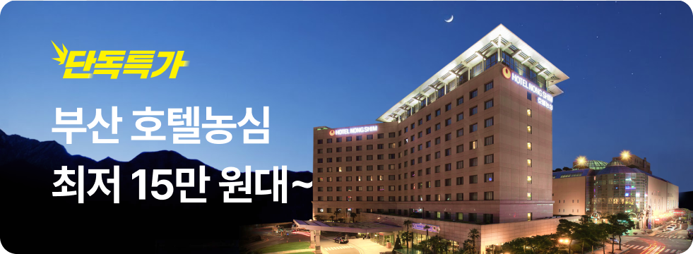 번쩍특가 | 호텔농심