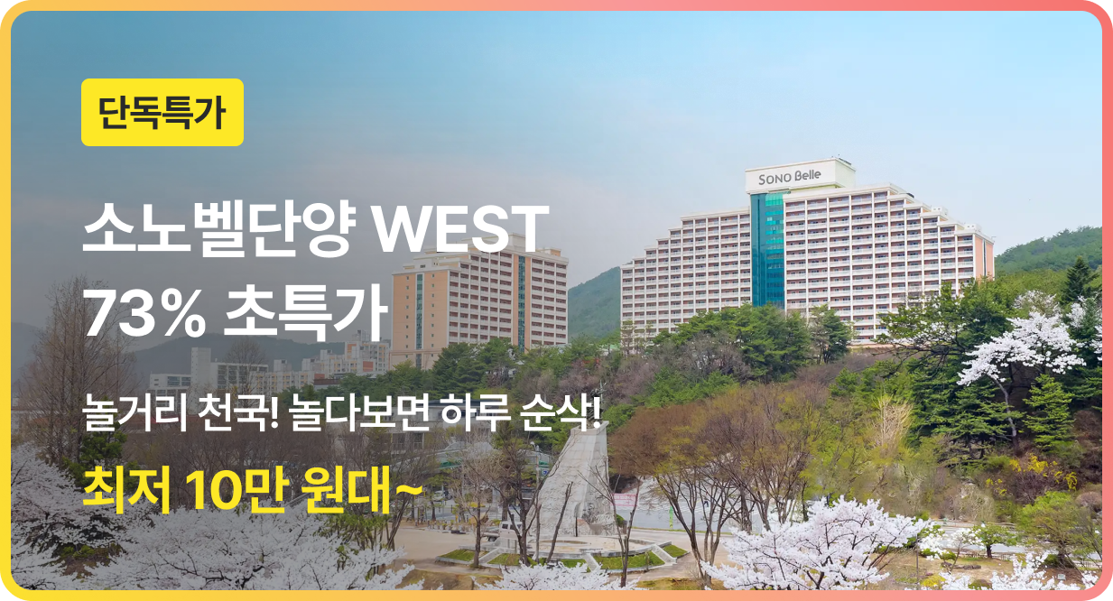 번쩍특가 | 소노벨단양