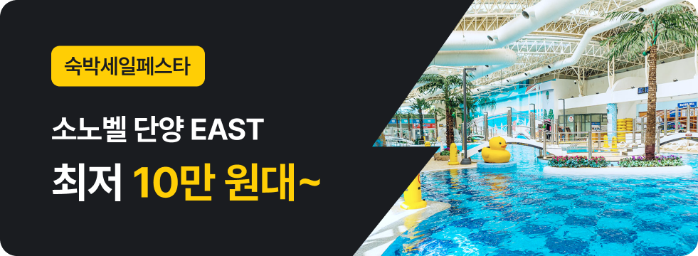 번쩍특가 | 소노벨단양