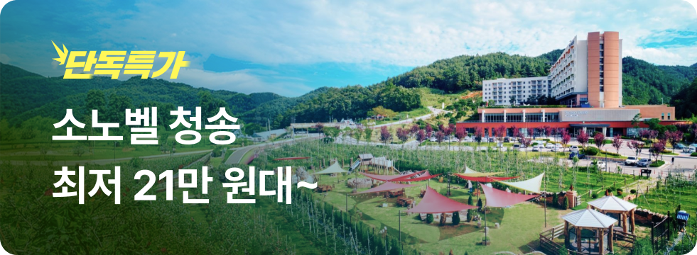 번쩍특가 | 소노벨청송