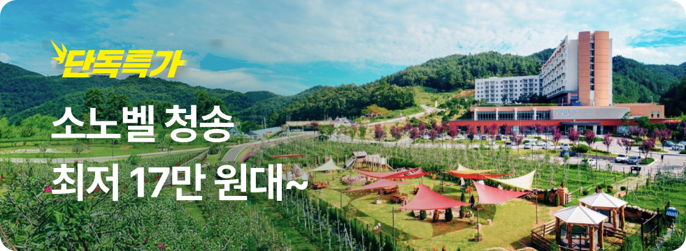 번쩍특가 | 소노벨청송
