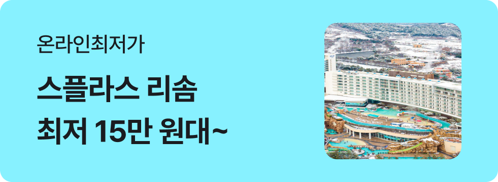 번쩍특가 | 스플라스리솜