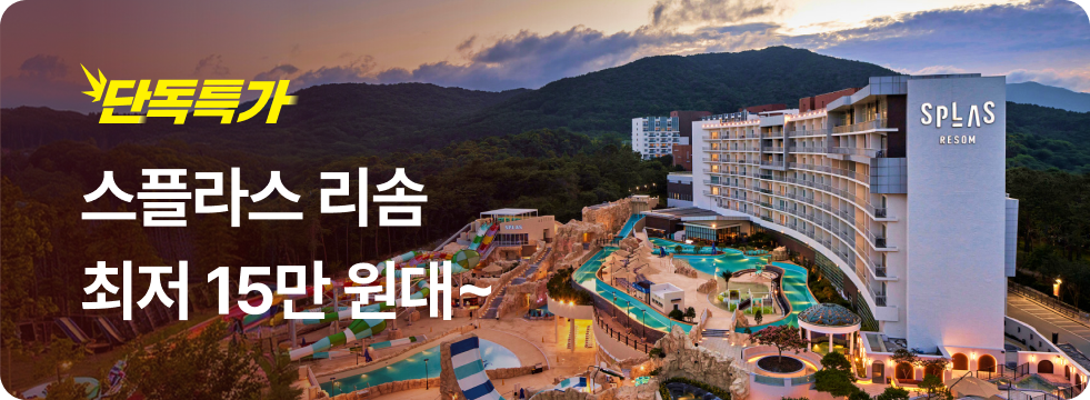 번쩍특가 | 스플라스리솜