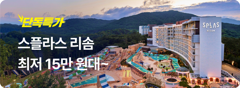 번쩍특가 | 스플라스리솜