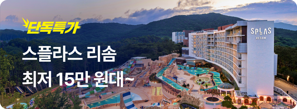 번쩍특가 | 스플라스리솜