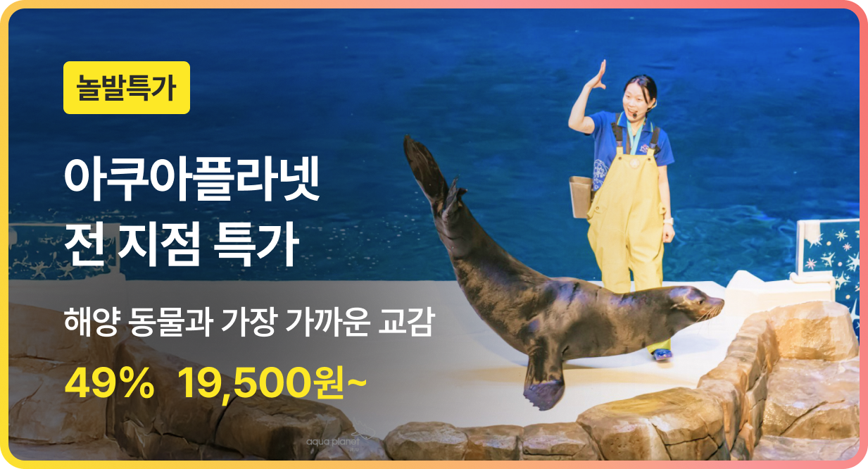 번쩍특가 | 아쿠아플라넷전지점