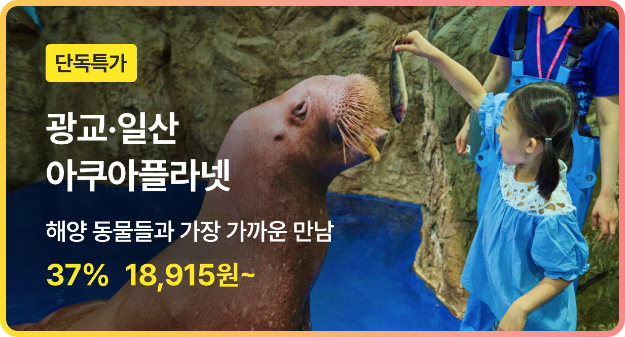 번쩍특가 | 아쿠아플라넷광교일산