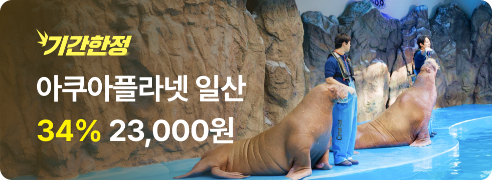 번쩍특가 | 아쿠아플라넷일산
