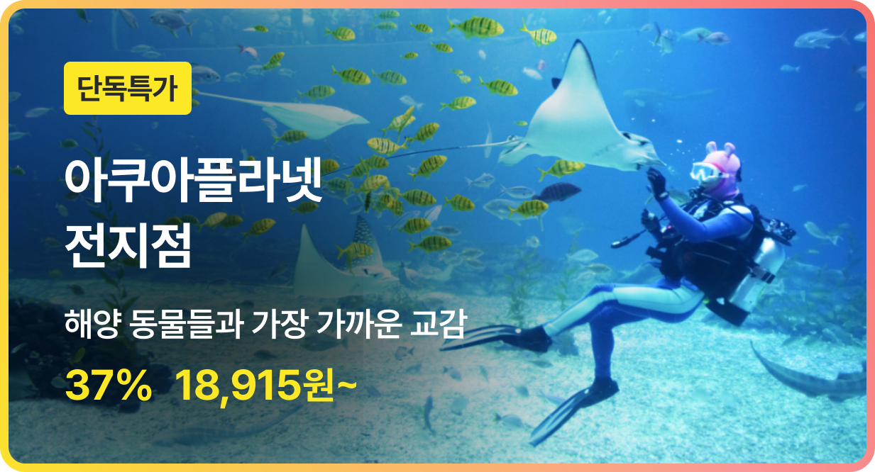 번쩍특가 | 아쿠아플라넷전지점