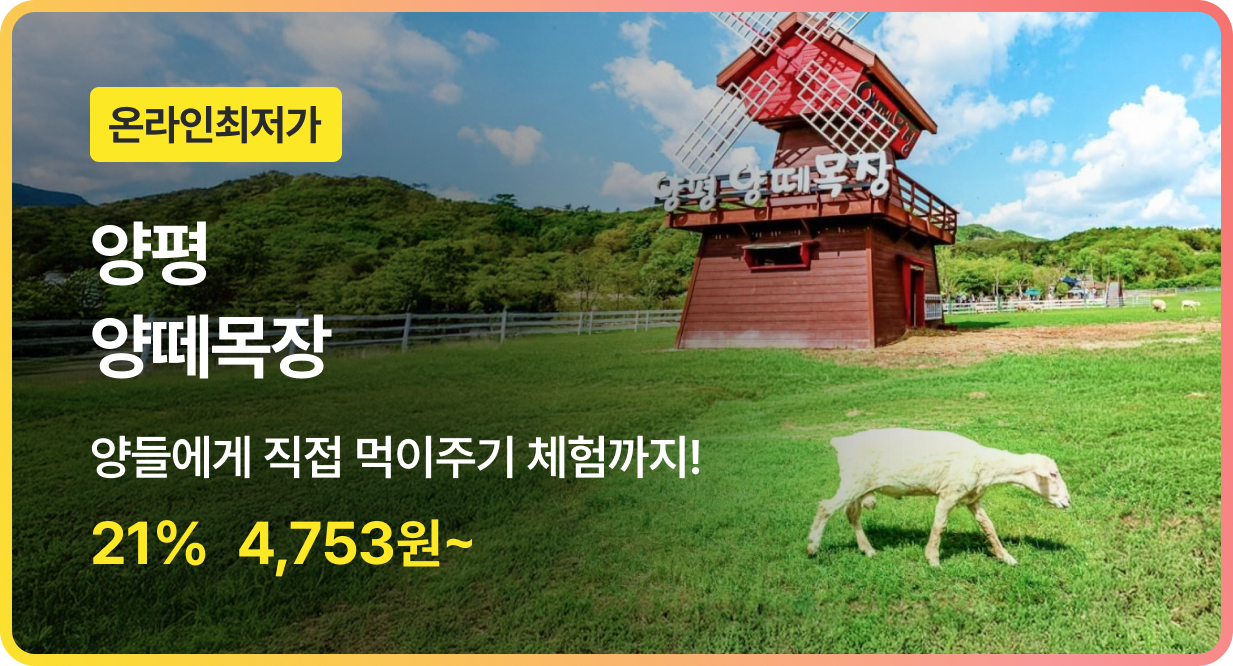 번쩍특가 | 양평양떼목장