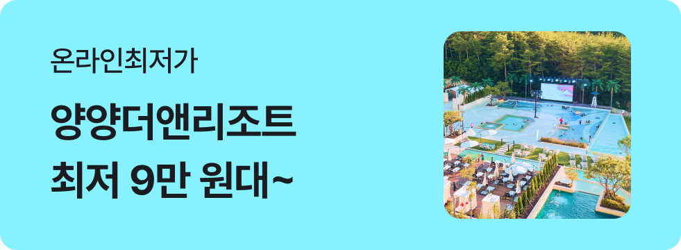 번쩍특가 | 양양더앤