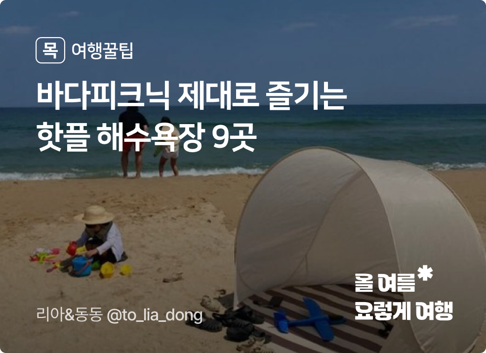 요렇게 바다피크닉