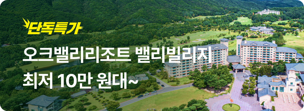 번쩍특가 | 오크밸리 밸리빌리지