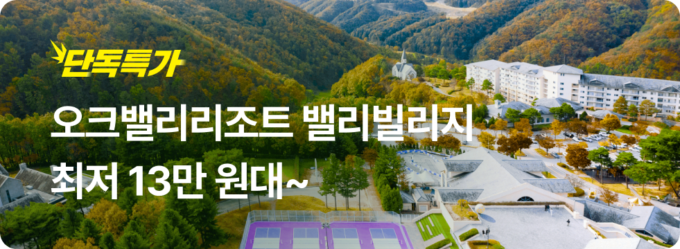 번쩍특가 | 오크밸리 밸리빌리지