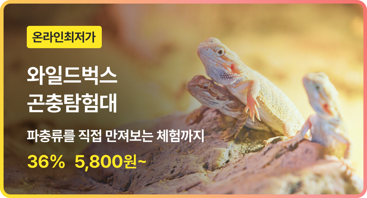번쩍특가 | 와일드벅스