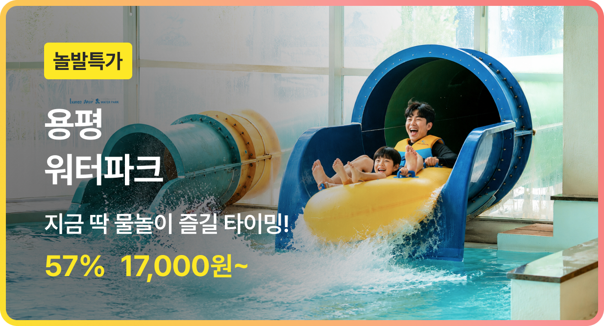번쩍특가 | 용평워터파크