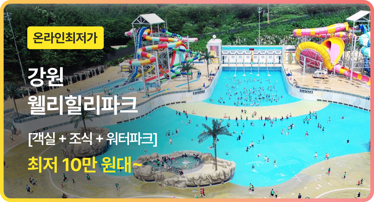 번쩍특가 | 웰리힐리파크