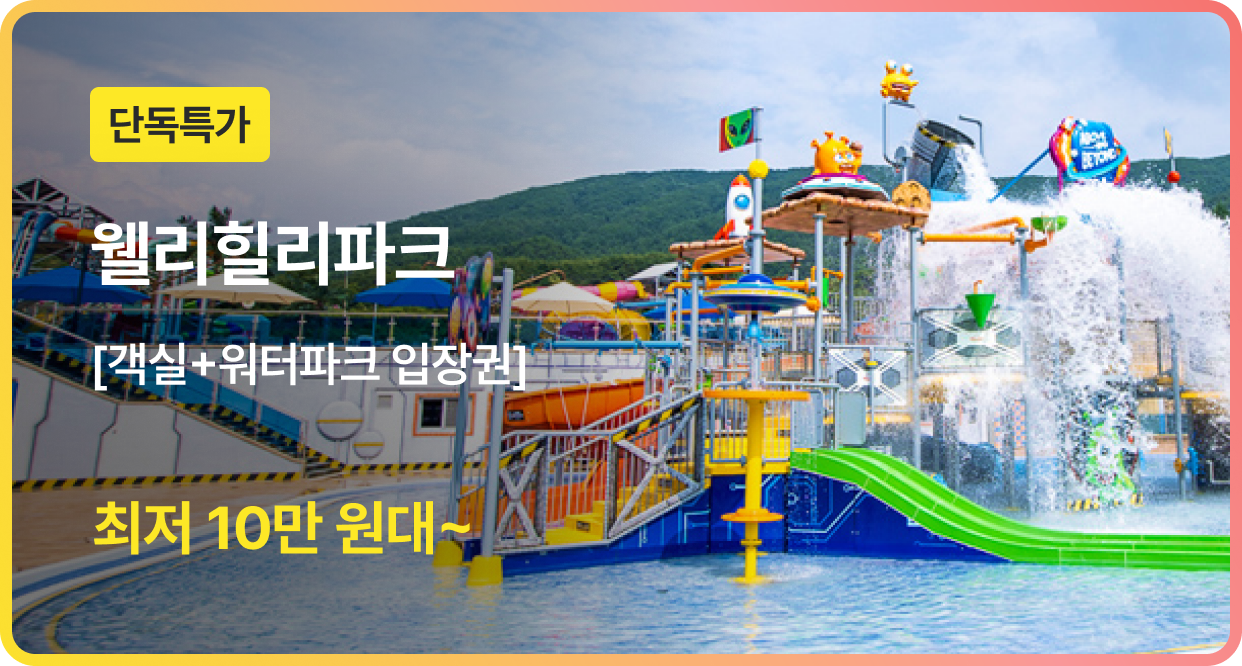 번쩍특가 | 웰리힐리파크