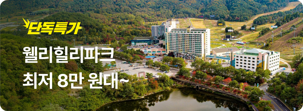 번쩍특가 | 웰리힐리파크